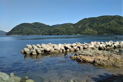 松島海岸4.jpg