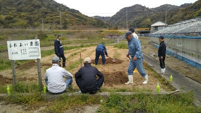 柑橘類植栽準備.jpg