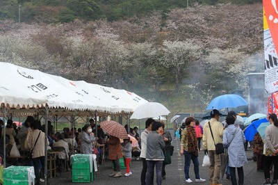桜とにぎわい.jpg