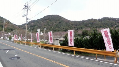 桜まつり会場1.jpg