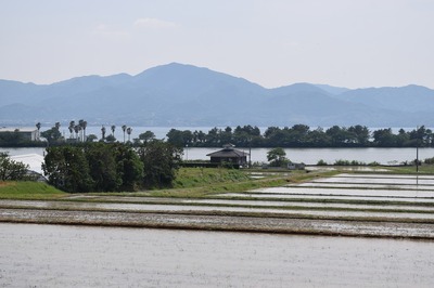 棚田3.jpg