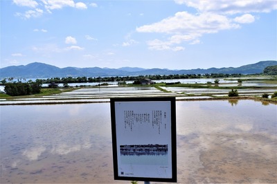 棚田・波の橋立.jpg