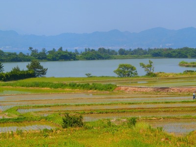 棚田・青海湖・波の橋立.jpg