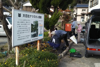 植栽1.jpg