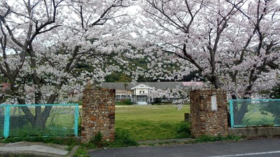 正門と桜.jpg
