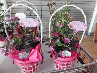 母の日のお花.jpg