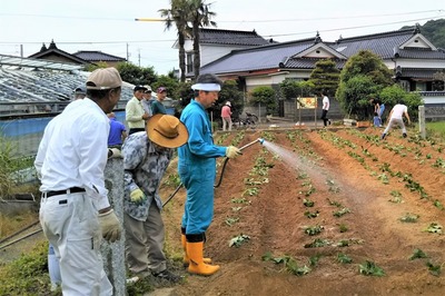 水やり.jpg