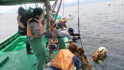 水揚げ2.jpg
