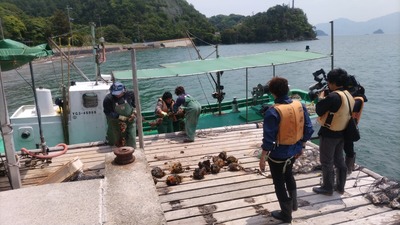 水揚げ6.jpg