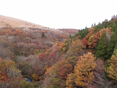 泉水橋からの秋色2.jpg