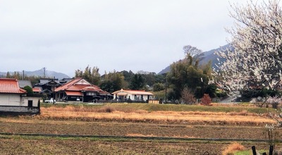 法恩寺.jpg