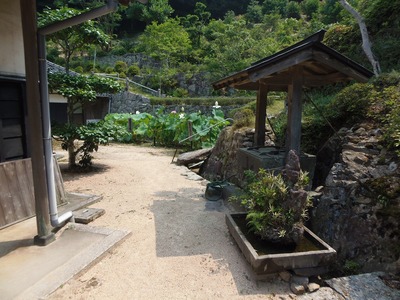 法船庵の庭園.jpg