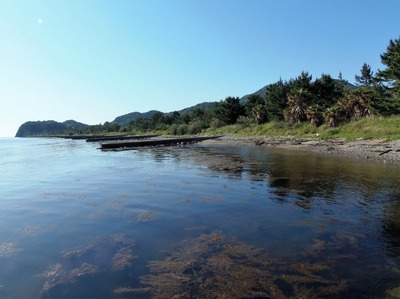 波の橋立.jpg