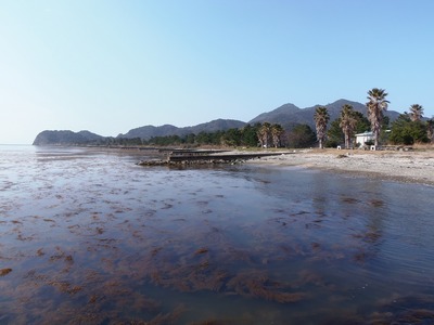 波の橋立.jpg
