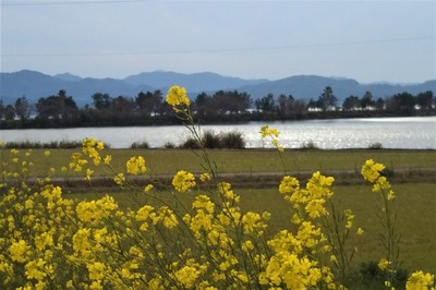 波の橋立と御青海湖と季節の花2.jpg