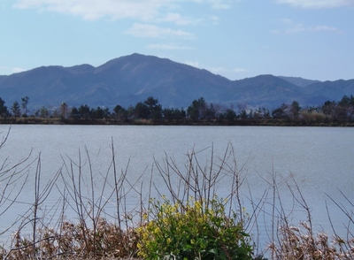 波の橋立と青海湖.jpg