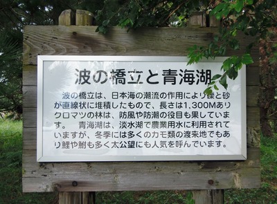 波の橋立と青海湖の説明.jpg