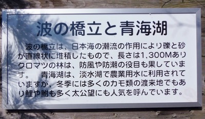 波の橋立と青海湖説明.jpg