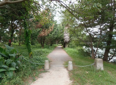 波の橋立遊歩道入口.jpg