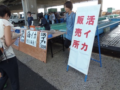 活イカ販売.jpg