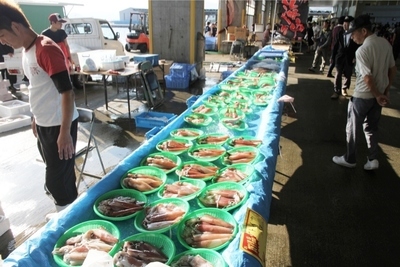 海の幸販売2.jpg