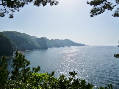 CAvXEC.jpg