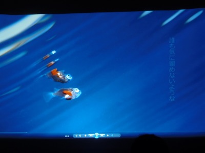 海中写真1.jpg