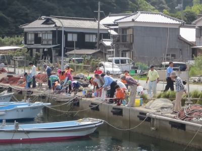 海岸魚釣り4.jpg