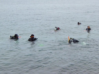 海底の清掃へ3.jpg