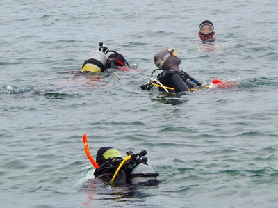 海底の清掃へ4.jpg