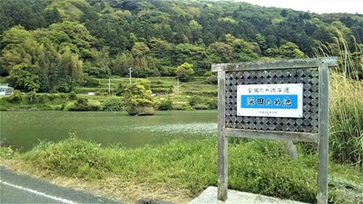 深田ため池1.jpg