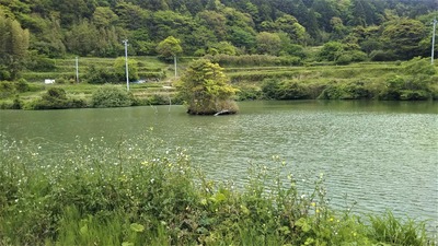 深田ため池2.jpg