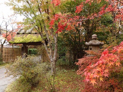 湯布院の秋色.jpg
