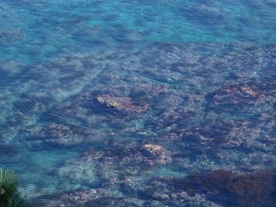 澄んだ海.jpg