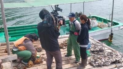 牡蠣打ち1.jpg