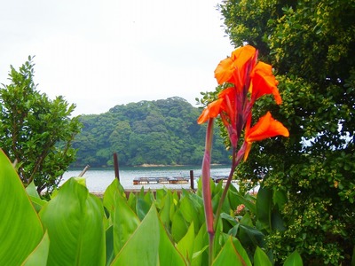 王子山と季節の花.jpg