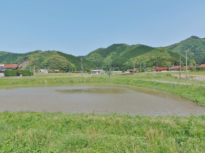 田植えが済んだ田んぼ1.jpg