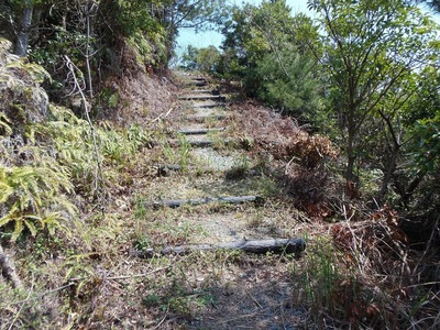 登山道2.jpg