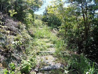 登山道2.jpg