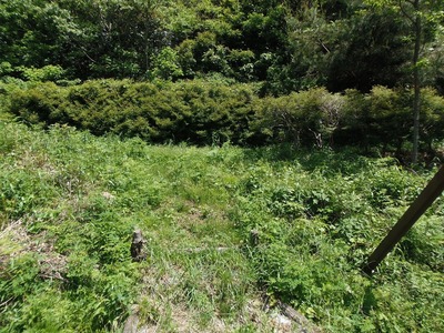 登山道入口.jpg