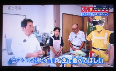 白オクラと話した結果・生で食べてほしい 1.jpg