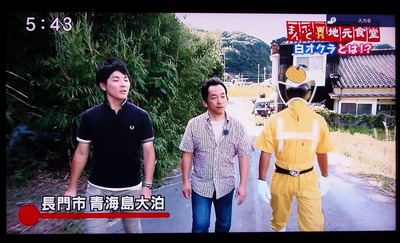 白オクラ畑へ案内.jpg