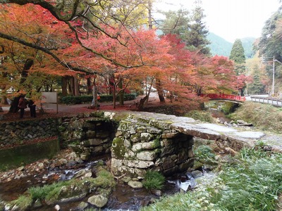 盤石橋と秋色.jpg