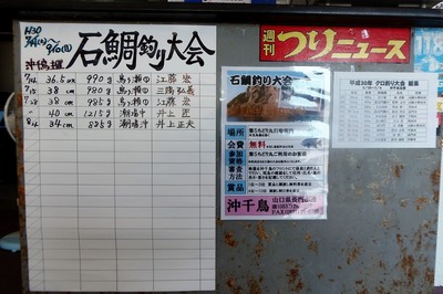 石鯛釣り大会.jpg