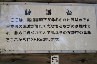 碧濤台説明.jpg