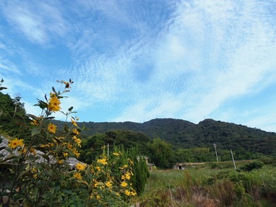 秋の雲4.jpg