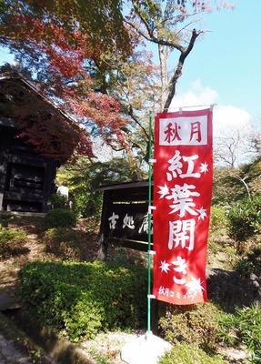 秋月の秋色3.jpg