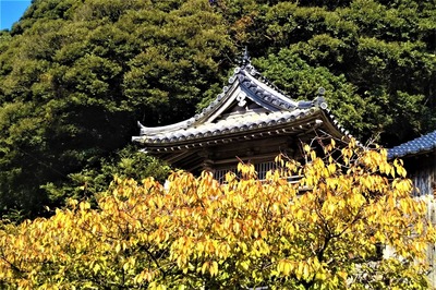 秋色の西園寺山門2.jpg