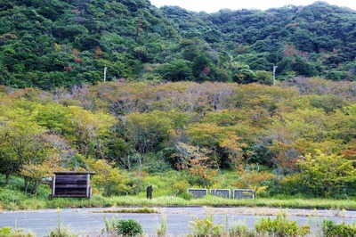 秋色の青海島さくらの里2.jpg
