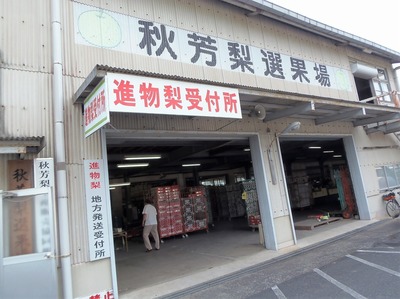 HFIʏ1.jpg